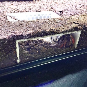 Hermit Crab Tank Decor Underground Hideout Cave Hermit Crab Hide Decoration Hermit Crab Accessories Supplies Toys Ornaments