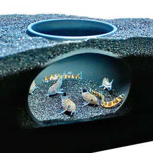 Fish Tank Cave Dome Aquarium Decor Hideout Perfect for Cory Catfish, Kuhli Loach, Pleco, Betta Fish, Small Cichlids Aquarium Decorations