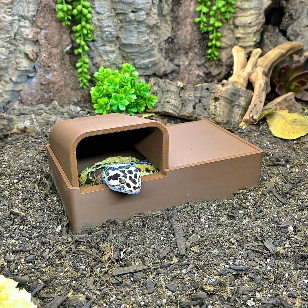Reptile Dig Box With Lid – Humid Hide and Burrow Box for Lizards ...