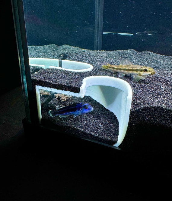 Buy Aquarium Decor Corner Double Hole Cave Underground Viewing Hide Kuhli Loach Dojo Loach Corydoras Catfish Hideout Fish Tank Decor Accessories Online in India - Etsy Buy Aquarium Decor Corner Double Hole Cave Underground Viewing Hide Kuhli Loach Dojo Loach Corydoras Catfish Hideout Fish Tank Decor Accessories Online in India - Etsy