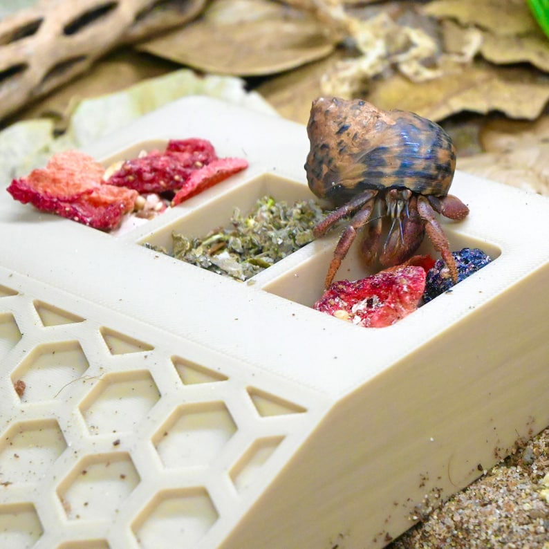 May include: A beige, multi-compartment food dish with a honeycomb design, filled with various colorful foods. A hermit crab with a brown and blue shell is in the dish, near the food. The dish is designed for small pets.