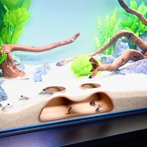 Op de afbeelding: Een aquariumsc&egrave;ne met kleine vissen die zwemmen in de buurt van een bruine, grotachtige structuur. De tank heeft een zandige bodem, drijfhout en kunstplanten. Het water is helder en de achtergrond is lichtblauw.