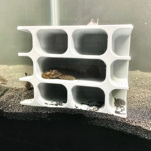 Pleco Cave Hotel Decoration Pleco Hide Aquarium Caves Plecostomus Bristlenose Pleco Fish Tank Decor Supplies Accessories