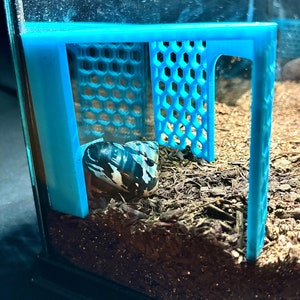 Jinymral Hermit Crab Climbing Toys, Adjustable Hermit Crab
