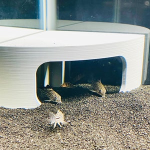 May include: A white plastic fish tank with a round, multi-sectioned base. The base has several openings that allow fish to swim through. There are several small, brown fish swimming in the tank.