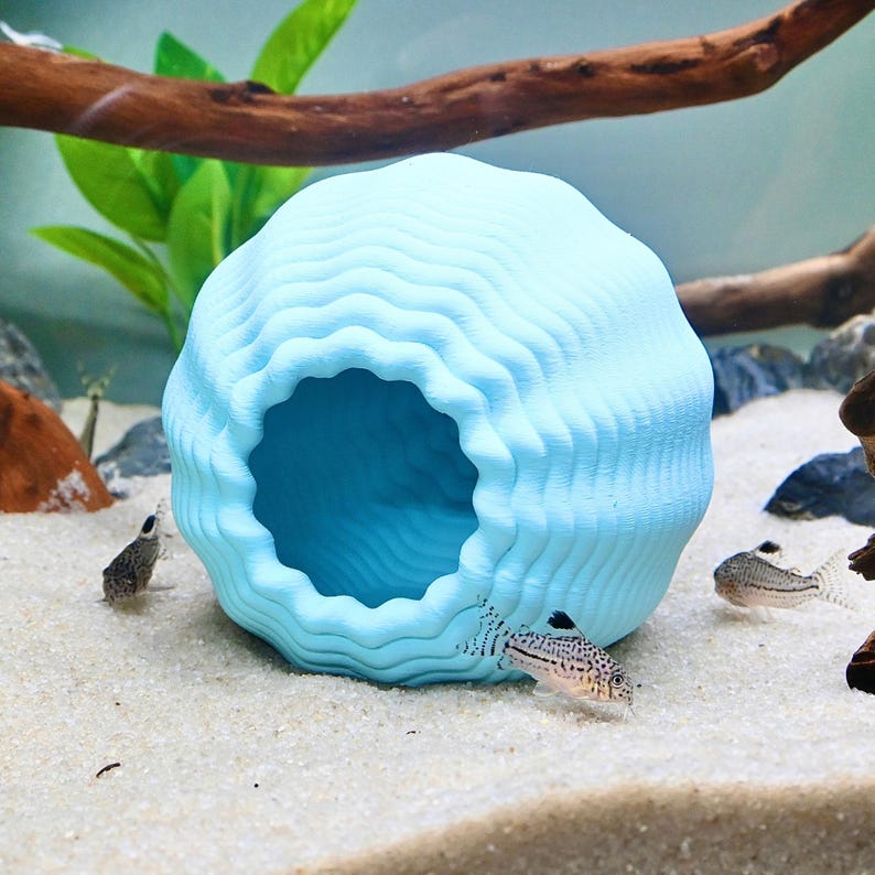 May include: A pale blue, shell-shaped aquarium ornament with a large opening. The textured surface resembles ocean waves. Several small fish swim near the shelter in a sandy environment, with green plants and driftwood in the background.