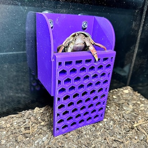 Hermit Crab Climbing Basket Hide Hermit Crab Foraging Ornament Toy Hermit Crab Tank Decor Accessories Supplies Ornaments Decorations