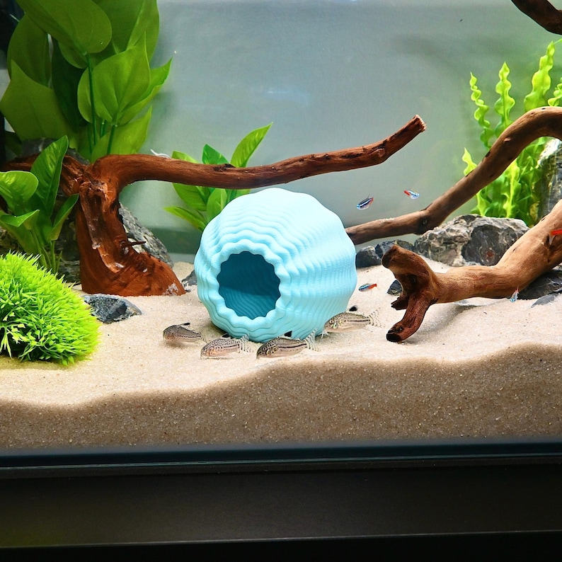 May include: A light blue, spherical aquarium ornament with a textured, wave-like design. The ornament has a large opening and is surrounded by sand, driftwood, and live plants. Small fish swim around the ornament.