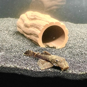 Pleco Cave Wood Decoration Pleco Hide Aquarium Caves Plecostomus Bristlenose Pleco Fish Tank Decor Supplies Accessories