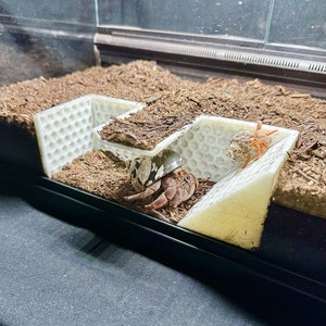 Hermit Crab Tank Decor Underground Climbing Tunnel Hermit Crab Hide Decoration Hermit Crab Accessories Supplies Toys Ornaments