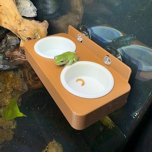 Frog Gecko Feeding Ledge Food Bowl Dish Amphibian Reptile Tank Enrichment Crested Gecko Lizard Frog Feeding Cup Accessories Supplies