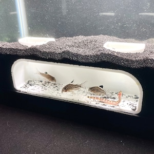 Bottom Dweller Underground Tunnel Aquarium Aquascape Hideout Cave Fish Tank Decorations Accessories Ornament Pleco Clown Kuhli Loach Hide