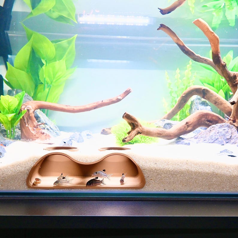 Op de afbeelding: Een aquariumsc&egrave;ne met een koperkleurige grotstructuur op een zandige ondergrond. Verschillende kleine vissen met donkere strepen en vlekken zijn zichtbaar in de grot. De tank is versierd met drijfhout, groene planten en rotsen.