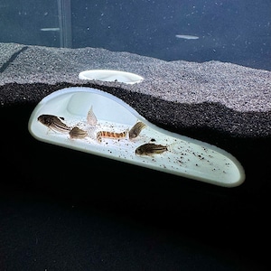 Bottom Dweller Underground Slope Cave Aquarium Aquascape Hideout Cave Fish Tank Decor Accessories Ornament Pleco Clown Kuhli Loach Hide