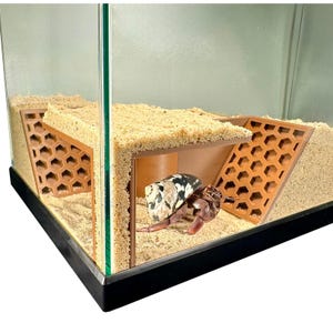 Hermit Crab Tank Decor Underground Corner Climbing Tunnel Hermit Crab Hide Decoration Hermit Crab Accessories Supplies Toys Ornaments