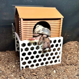 Hermit Crab Climbing Hide Hermit Crab Lodge Hideout Cave Hermit Crab Tank Decor Ornament Toys Supplies Accessories Decorations