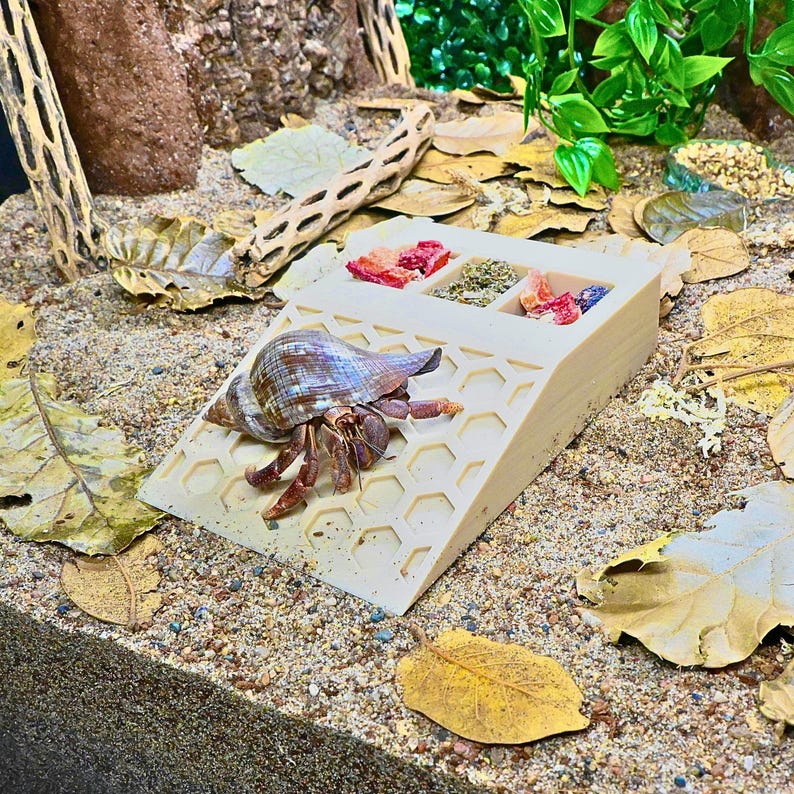May include: A hermit crab with a striped shell and orange legs sits on a beige, honeycomb-patterned ramp. The ramp has food compartments filled with colorful food. The scene is set in a terrarium with sand, leaves, and wood.
