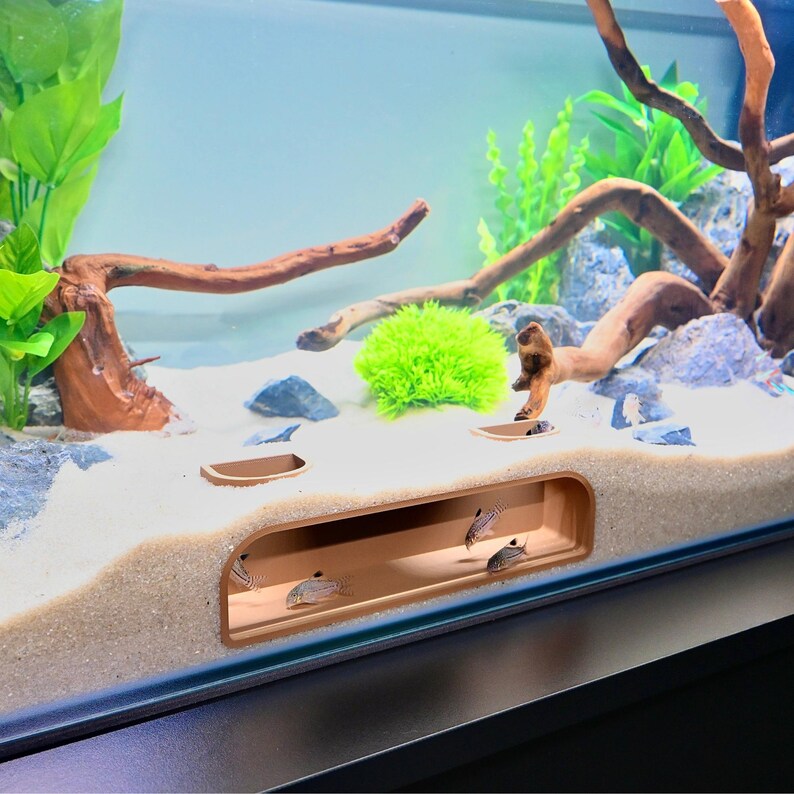 May include: An aquarium scene with a sandy bottom, driftwood, and green plants. Several small fish with dark stripes swim in a recessed, rectangular structure. The tank is filled with water, creating a natural habitat.