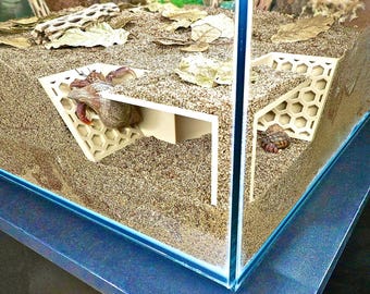 Hermit Crab Corner Climbing Tunnel – Underground Corner Hide & Enrichment Cave