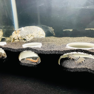 Bottom Dweller Aquarium Cave, Kuhli Loach Dojo Loach Corydoras Catfish Clown Loach Dwarf Frog Hideout, Bottom Feeder Fish Tank Tunnel