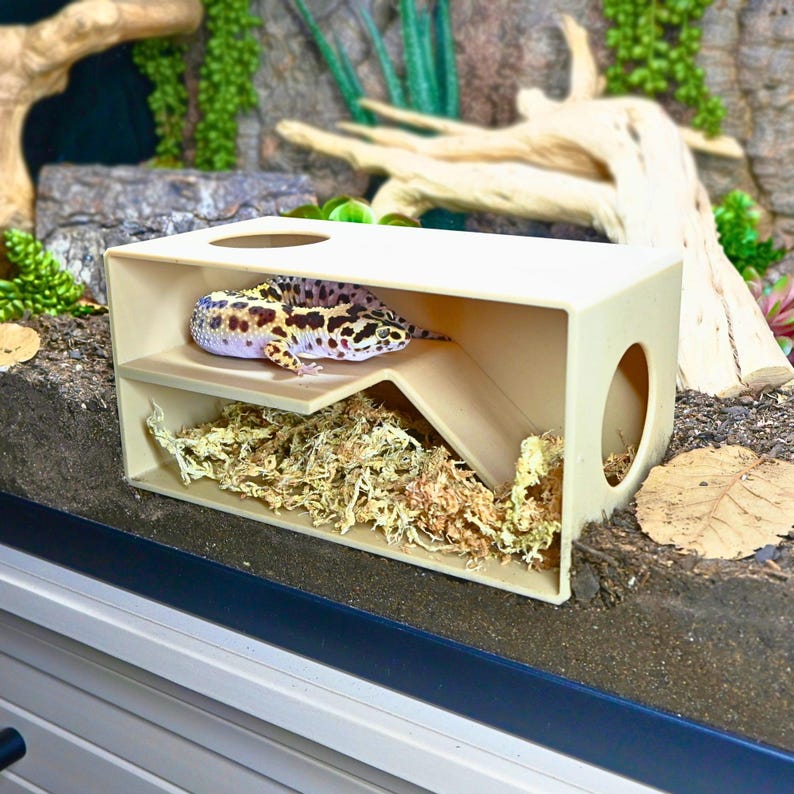 May include: A beige reptile hideout with a leopard gecko inside. The hideout features a shelf and a ramp leading to a moss-filled lower level. The gecko has a spotted pattern in brown, black, and yellow. The hideout has a circular opening.
