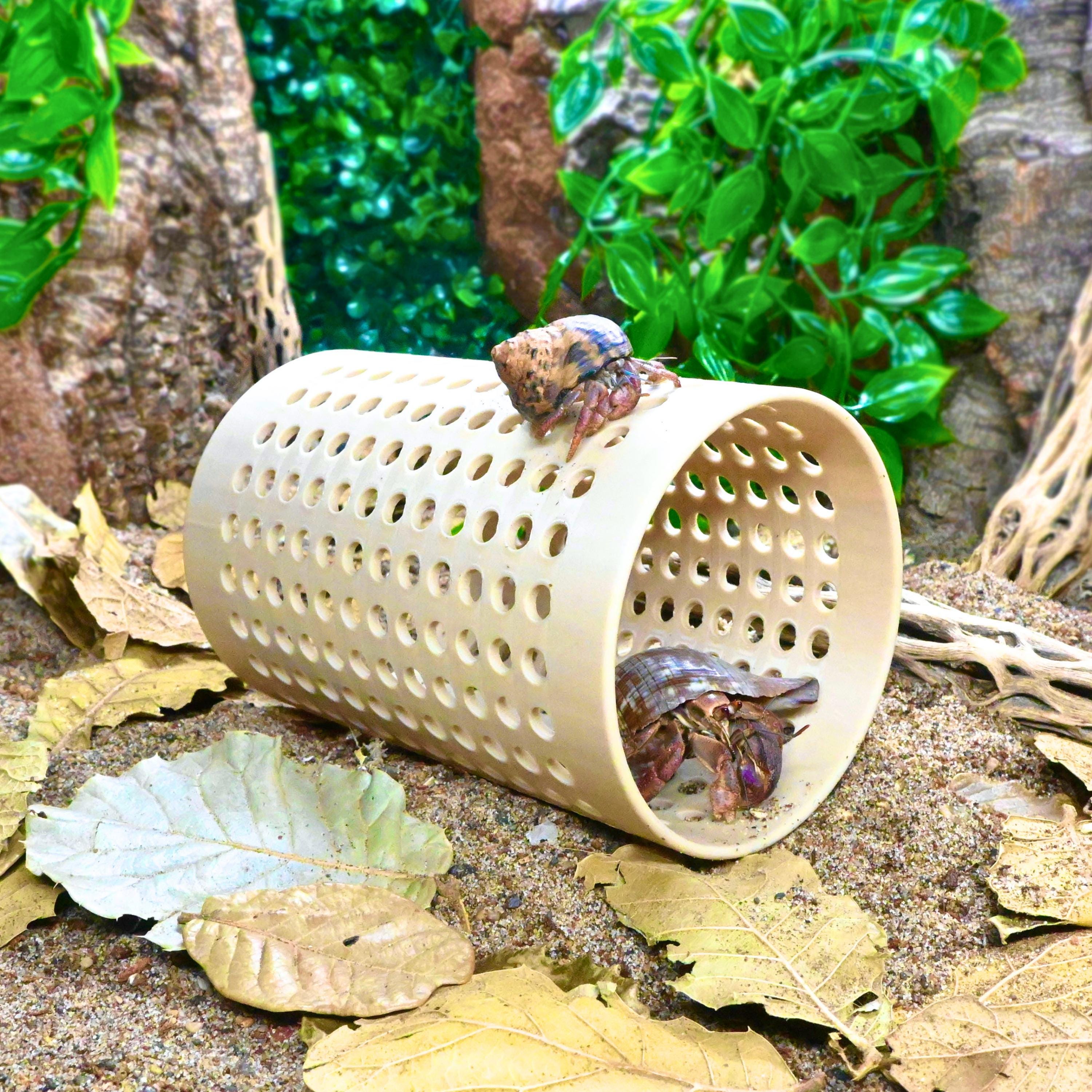 Hermit Crab Climbing Tube Toy – Hide & Crawl Tunnel - Etsy Israel