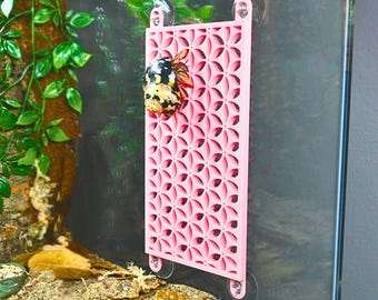 Hermit Crab Climbing Wall Toy – Flower Pattern Crab Ladder