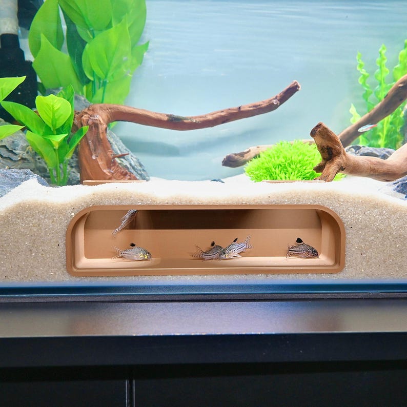 May include: An aquarium scene featuring several small, striped fish swimming in a tank. The tank has a sand substrate, decorative driftwood, and artificial plants. A tan-colored, arched structure provides a shelter for the fish.