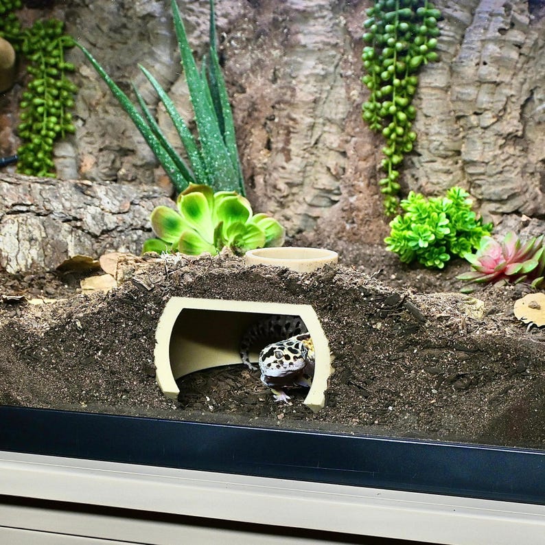 Puede incluir: Un gecko leopardo asoma desde un escondite beige en un terrario. El recinto presenta un fondo de corteza texturizada, plantas artificiales y un peque&ntilde;o cuenco de agua. El gecko tiene un patr&oacute;n moteado.