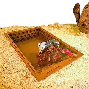 Hermit Crab Pool Underground, Hermit Crab Decoration, Hermit Crab Ornament, Hermit Climbing Pool