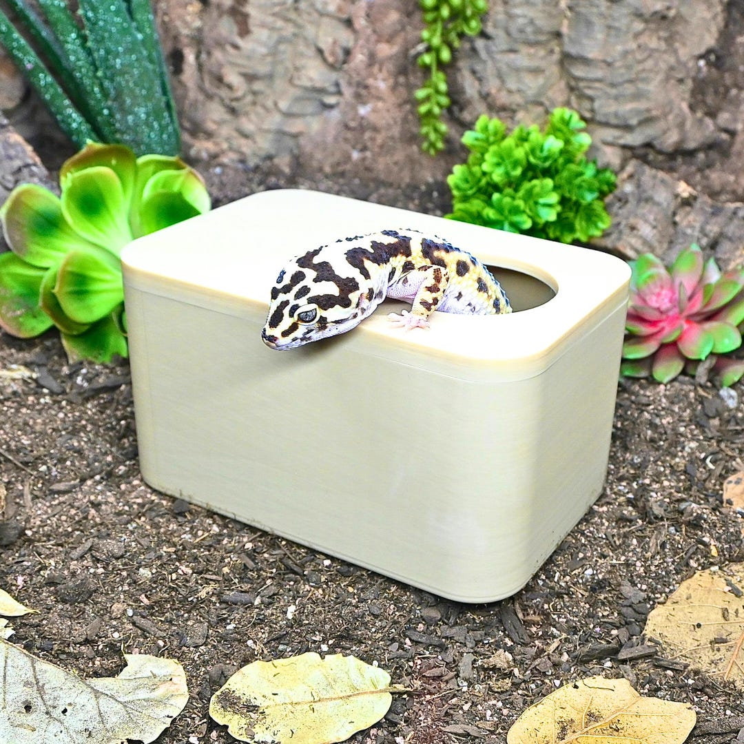 Snake Humid Box Reptile Humid Dig Box Enclosure Decor Reptile Tank Enrichment ...
