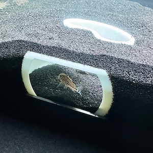 Aquarium Underground Viewing Cave Aquarium Aquascape Hideout Cave Fish Tank Decorations Accessories Ornament Pleco Clown Kuhli Loach Hide