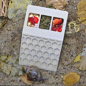 May include: A light gray, rectangular food tray with three compartments filled with dried fruit and herbs. The tray has a honeycomb pattern on the lower section. A seashell rests near the tray on a sandy surface with leaves.