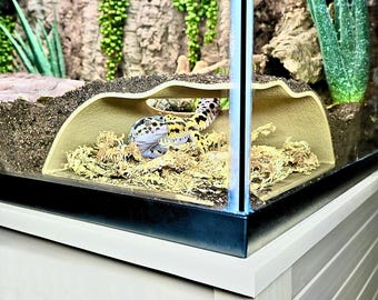 Leopard Gecko Corner Humid Hide – Viewing Underground Reptile Cave