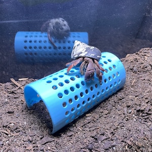 Hermit Crab Climbing Tube, Hermit Crab Climbing Hide, Hermit Crab Ornament, Hermit Crab Ladder, Hermit Crab Tank Decoration