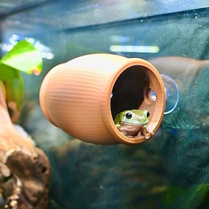 May include: A green tree frog sits inside a brown ceramic frog hide, which is attached to the side of a glass terrarium.