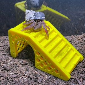 Hermit Crab Climbing Rope Ladder Natural Plant Material
