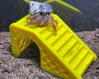 May include: A hermit crab with a patterned shell and red legs sits on a bright yellow plastic staircase. The staircase has a lattice design on the sides and is placed on a bed of brown mulch.