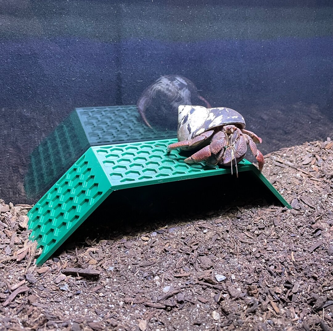 Missing Ramps Hermit Crab Climbing Ramp Hide – Sloped Climber Tank Decor - Etsy