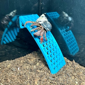 Hermit Crab Ladder Arch Climbing Wall Hermit Crab Decor Toys Hermit Crab Accessories Supplies Decorations Ornaments Hermit Crab Tank Decor