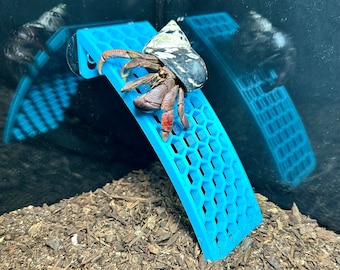 Hermit Crab Ladder Arch Climbing Wall Hermit Crab Decor Toys Hermit Crab Accessories Supplies Decorations Ornaments Hermit Crab Tank Decor