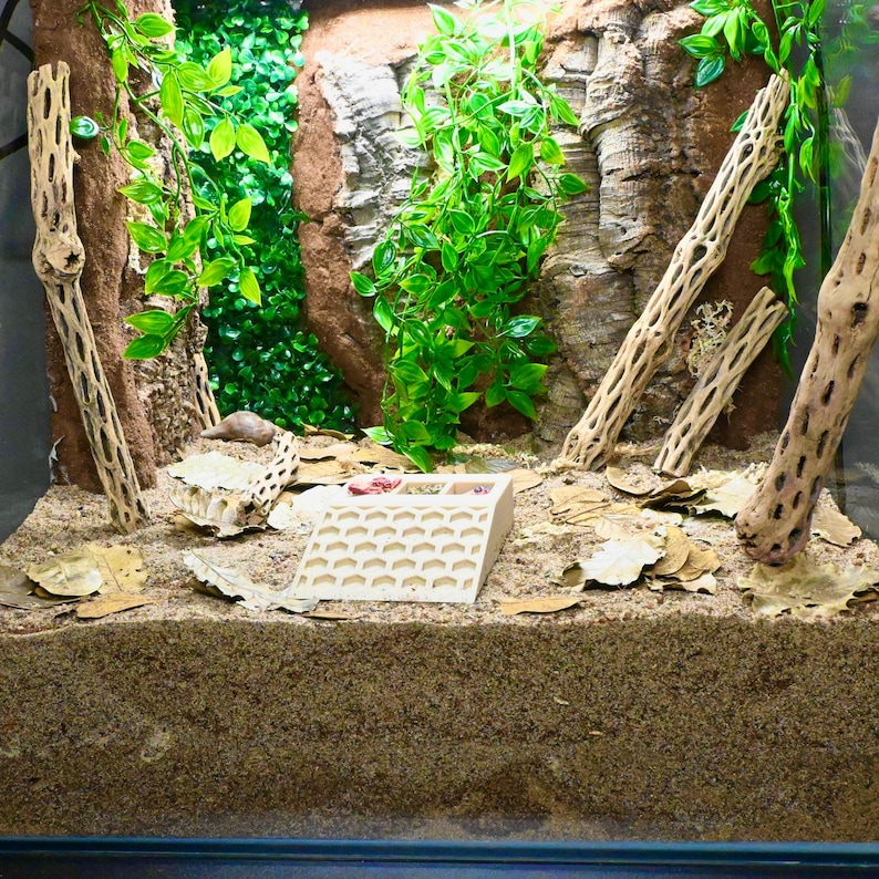 May include: A terrarium setup with a sand substrate, artificial plants, and decorative wood pieces. A white, angled, slotted structure sits in the foreground. The background features a textured, brown wall and more greenery.