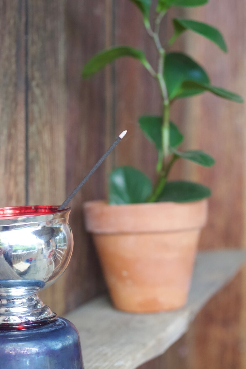 Cedar incense Botanical hand dipped incense natural incense Etsy