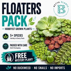 May include: A collection of floating aquatic plants featuring green and reddish-brown leaves. Text on the image reads: FLOATERS PACK, HOBBYIST GROWN PLANTS, 5+ SPECIES, PACKED WITH CARE, FREE MYSTERY PLANT!, NO DUCKWEED, NO SNAILS, NO IMPORTS.