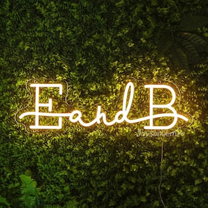 Decoração de casamento inicial personalizada, neon de sobrenome, luz de neon de monograma, placa de carta de casamento, decoração de noivado, placa de sobrenome inicial, presentes para dias especiais