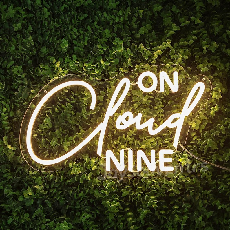 Custom 'On Cloud Nine' Party Neon Sign, Baby Shower Decor image 3