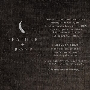 Pu&ograve; includere: Testo in bianco e nero su uno sfondo grigio scuro. Il testo recita "FEATHER + BONE". Sotto il testo c'&egrave; una descrizione del processo di stampa e le informazioni aziendali. Il testo recita "We print on museum-quality Giclee Fine Art Paper. Printed locally here in the USA on artist-grade, acid-free 175gsm fine art paper using archival inks. UNFRAMED PRINTS Mock ups are to show inspiration for your framing decisions. ALL IMAGES OWNED AND CREATED BY FEATHER AND BONE CORP. &copy;Featherandbonecorp, LLC"