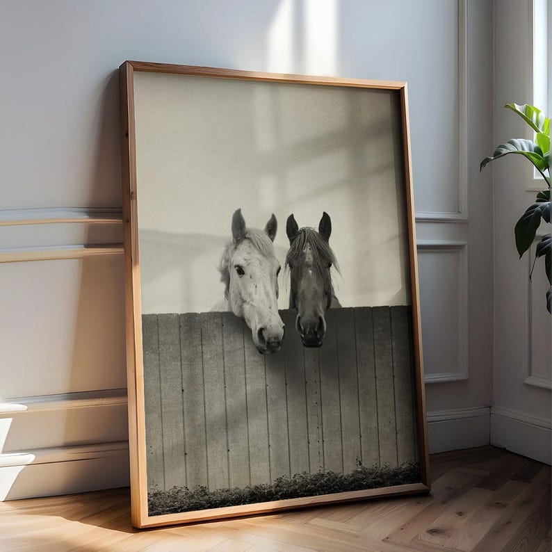 Pu&ograve; includere: Fotografia in bianco e nero di due cavalli che guardano oltre una recinzione di legno. I cavalli guardano direttamente la fotocamera.