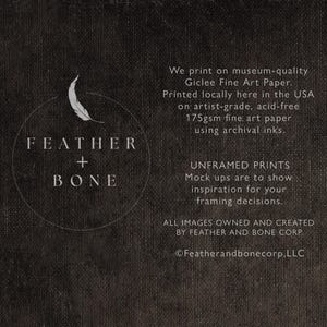 Pu&ograve; includere: Testo in bianco e nero su uno sfondo grigio scuro. Il testo recita "FEATHER + BONE". Sotto il testo c'&egrave; una descrizione del processo di stampa e le informazioni aziendali. Il testo recita "We print on museum-quality Giclee Fine Art Paper. Printed locally here in the USA on artist-grade, acid-free 175gsm fine art paper using archival inks. UNFRAMED PRINTS Mock ups are to show inspiration for your framing decisions. ALL IMAGES OWNED AND CREATED BY FEATHER AND BONE CORP. &copy;Featherandbonecorp, LLC"