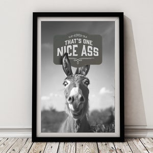 Bathroom Print Vintage Donkey wall art, bathroom humor poster, Funny Bathroom Poster, Offbeat Wall Decor, toilet humor print, guest bath art